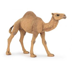 Papo Wild Life Dromedar 50151