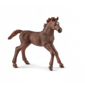 Schleich 13857 Englisch Vollblut Fohlen
