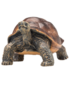 Mojo Wild Life Riesenschildkröte 387259