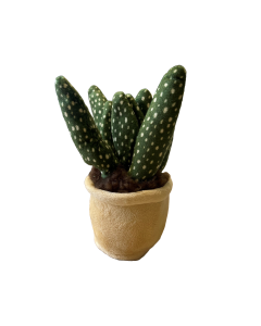 Take Me Home Pflanze Plüsch Aloe Vera 12-17cm 660572