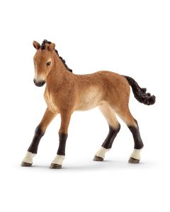 Schleich Horse Club Tennessee Walker Fohlen 13804 