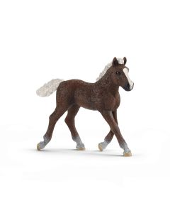 Schleich Horse Club Schwarzwälder Fohlen13899 