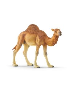 Schleich Wild Life Dromedar 14832 