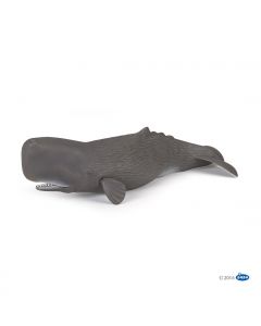 Papo Wild Life Pottwal 56036