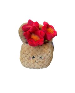 Take me home Pflanze Plüsch Blumenkorb Rot 18 cm 660671